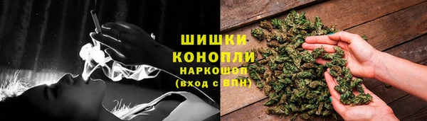 apvp Новый Уренгой