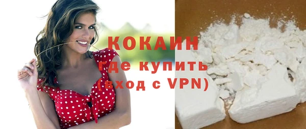 индика Орехово-Зуево