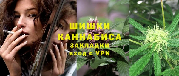 индика Орехово-Зуево