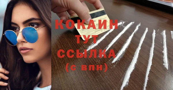 индика Орехово-Зуево