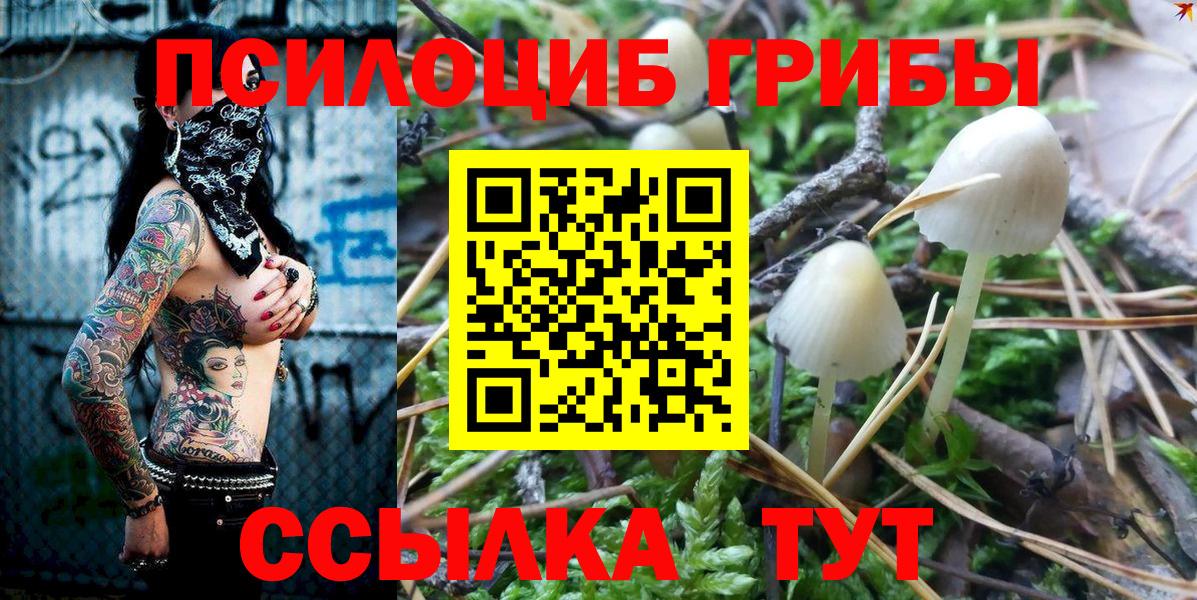 Галлюциногенные грибы мухоморы Асбест