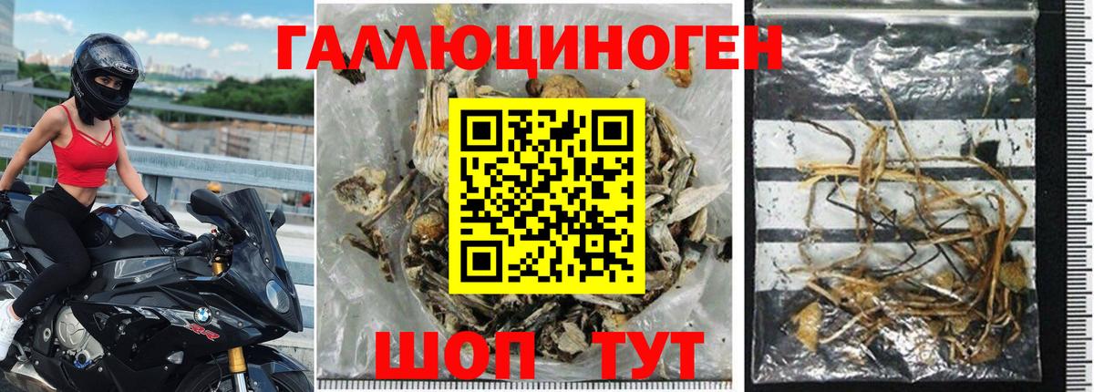 Асбест  Галлюциногенные грибы прущие грибы  Вход с VPN  Галлюциногенные грибы ЛСД 