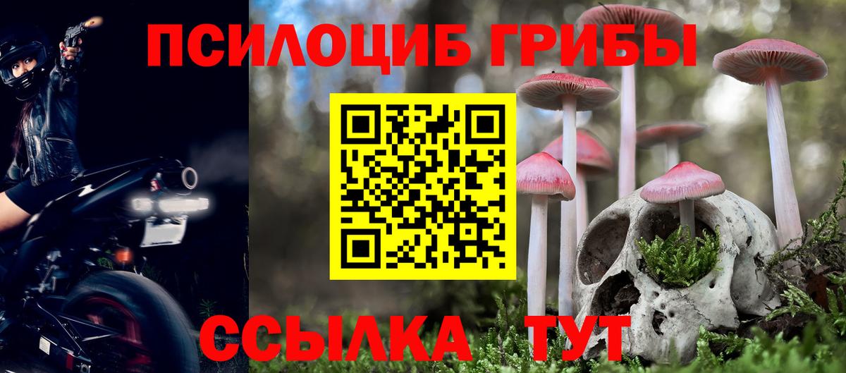 Псилоцибиновые грибы MAGIC MUSHROOMS  Асбест  Галлюциногенные грибы ЛСД 