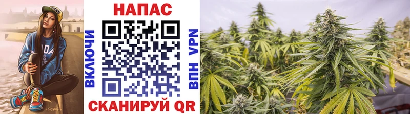 МАРИХУАНА Ganja  купить наркоту  MEGA ONION  Асбест 